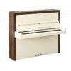 佩卓夫小型立式钢琴特殊收藏Cabinet