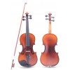金音乐器 小提琴 JYVL-E800