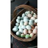 放养绿壳鸡蛋60枚25