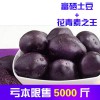 黑土豆/紫色马铃薯