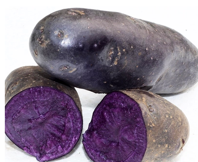 新鲜黑土豆紫马铃薯有机蔬菜黑土豆黑金刚