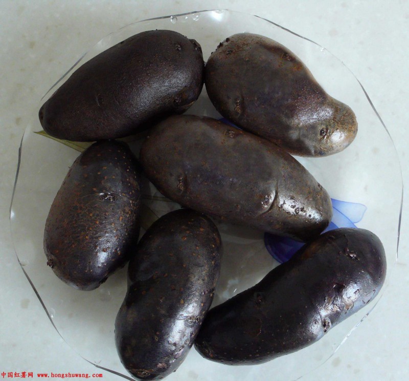 黑马铃薯 土豆